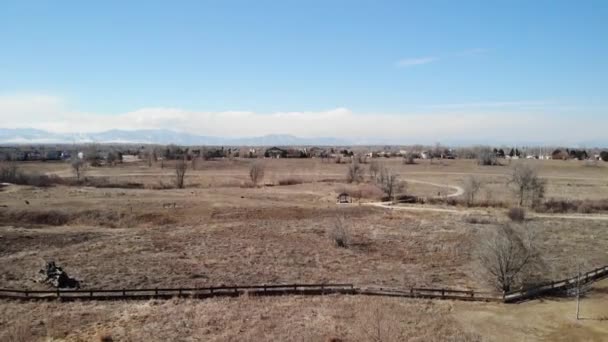 Open Space Trails Trees Recreational Park Colorado Ascending Aerial Drone — стокове відео