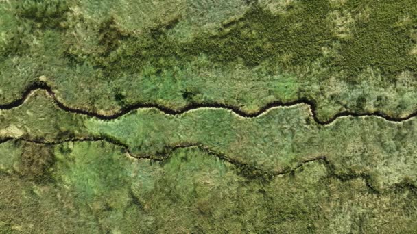 Canale Taglia Attraverso Pianura Alluvionale Verde Slikken Van Voorne Oostvoorne — Video Stock