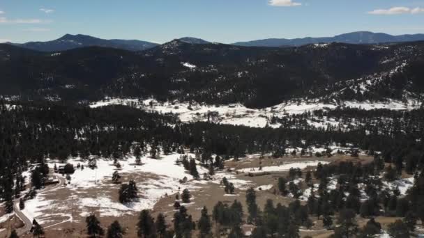 Snowy Forest Colorado Mountains Cinematic Drone Shot Idyllic Weather Aerial — стоковое видео