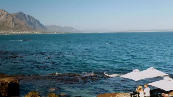 Couple Jouit Siège Première Rangée Observation Des Baleines Depuis Restaurant — Video