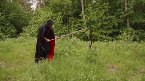 Liemannen Skär Den Storbladiga Lupinen Med Skythe Skogen Bred — Stockvideo