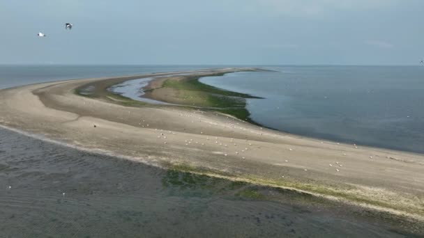 Вид Воздуха Прибрежные Дюны Песчаной Полосе Изобилующей Морской Птицей Важная — стоковое видео
