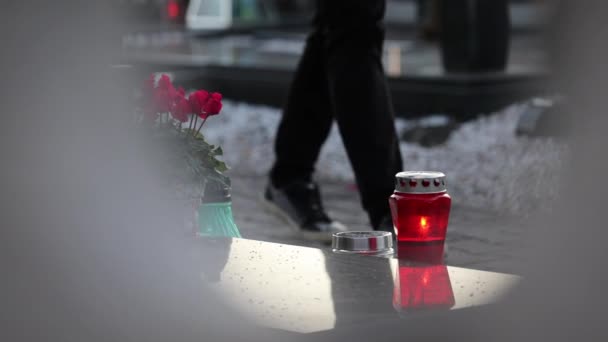 Uomo Che Viene Nella Tomba Mettere Fiore Cimitero Filmati — Video Stock