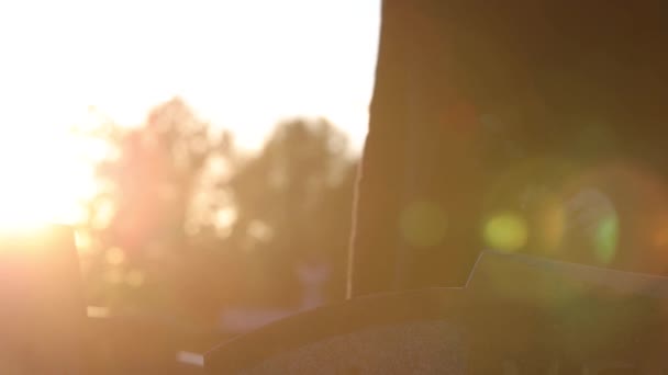 Молодий Чоловік Гній Квітка Могилі Заході Сонця Кадри Роздільної Здатності — стокове відео