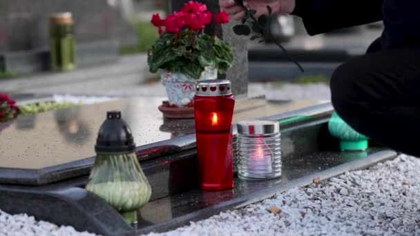 Άντρας Που Τοποθετεί Ένα Κόκκινο Τριαντάφυλλο Στον Τάφο — Αρχείο Βίντεο