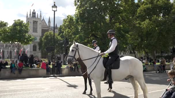 White Mounted Met Police Horse Stojący Nieruchomo Zamkniętej Drodze Obok — Wideo stockowe