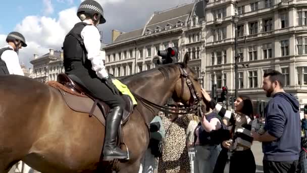 Toeristen Petting Ontmoette Police Horse Parliament Square Zonnige Dag Langzame — Stockvideo