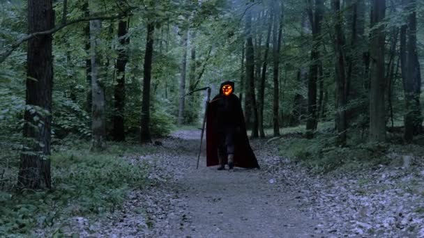 Scary Grim Reaper Flaming Skull Face Walking Smoky Forest Scythe — Vídeo de stock