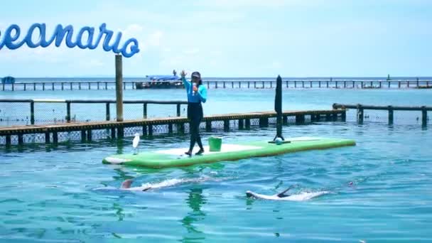 Foto General Entrenador Delfines Entreteniendo Turistas Espectáculo Delfines Oceanario Cartagena — Vídeo de stock