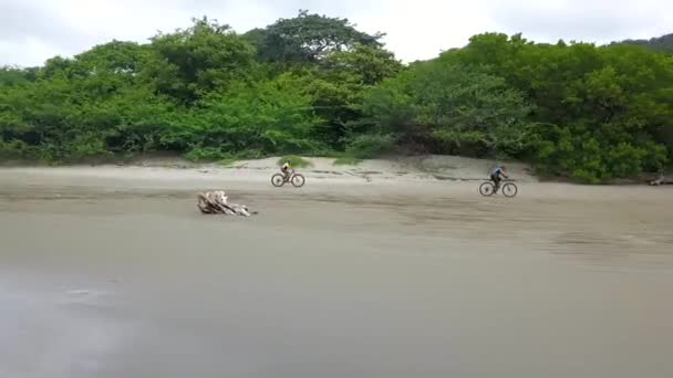 해변의 비디오 후란델 야자수 갈루아 리바스 해변의 자전거 — 비디오