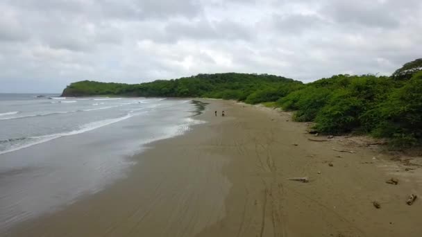 Drone Video Aéreo Nicaragua Playa San Juan Del Sur Palmera — Vídeos de Stock