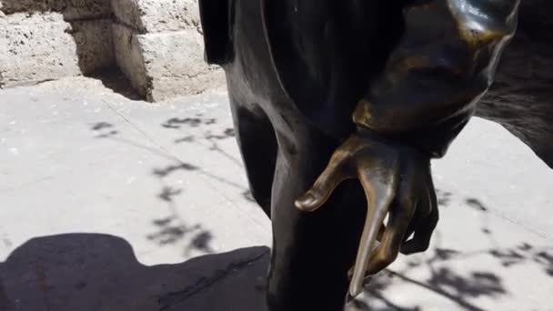 聖フランシス アッシジのブロンズ像のひげに触れる人ハバナの大聖堂の前で運のために — ストック動画