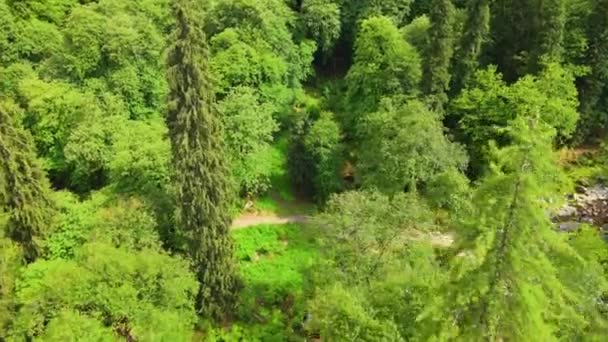 Drone Shot Van Een Klein Dorp Weg Sainj Valley Himachal — Stockvideo