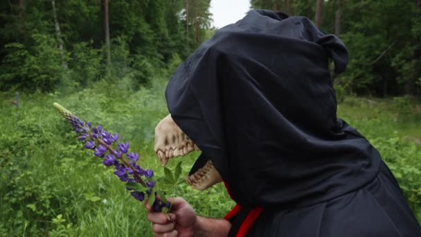 Nahaufnahme Von Black Reaper Mit Smoky Animal Skull Riechen Lupine — Stockvideo