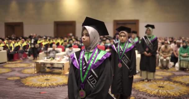 University Graduates Line Degree Award University Graduation Ceremony University Graduates — Stock Video