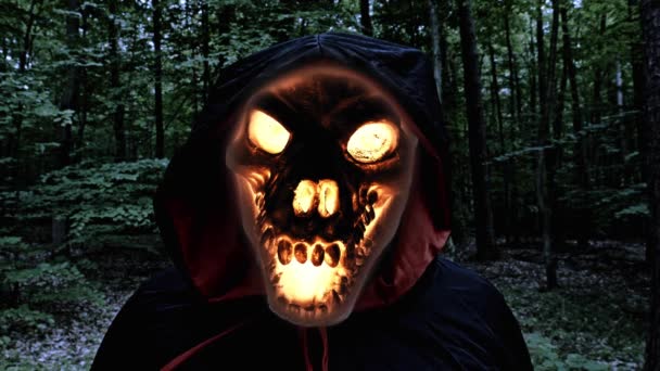 Burning Animal Head Skull Black Grim Reaper Hood Inglés Cerca — Vídeo de stock
