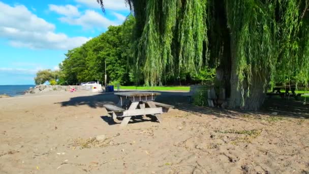 Omløpsvinkel Med Lav Vinkel Tomt Piknikbord Gråtende Tre Stranden – stockvideo