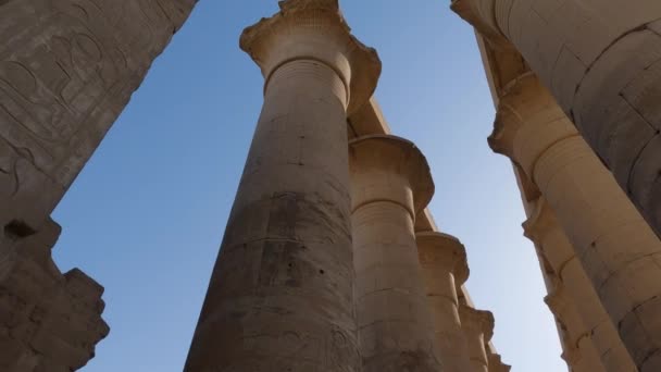 Híres Karnak Templomi Hadoszlop Luxor Egyiptom Faragott Hieroglifák Oszlopokon Ősi — Stock videók