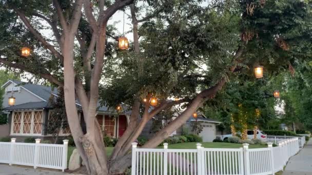 Árbol Candelabros Los Ángeles Luces Colgando Ramas Árboles Fuera Una — Vídeos de Stock