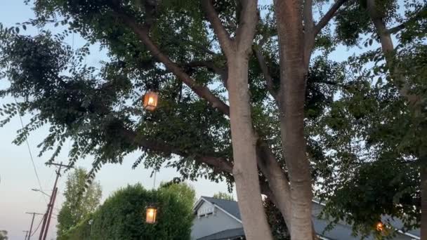 Ljuskronan Los Angeles Ljus Trassel Träd Grenar Utanför Ett Hus — Stockvideo
