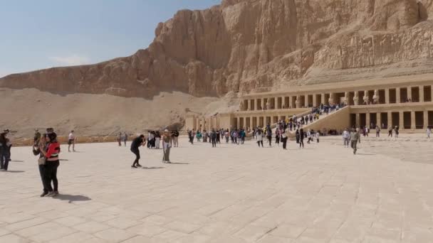 エジプトのルクソール市の反対側にあるハトシェプストの霊廟を訪れる観光客の群衆 古代建築の傑作 — ストック動画