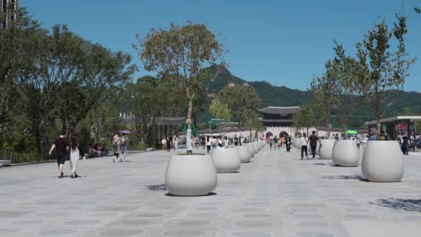 Prachtige Gerenoveerde Gwanghwamun Plaza Park Met Geplant Decoratieve Bomen Mensen — Stockvideo