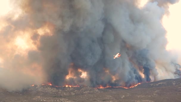 Vista Aérea Avión Extinción Incendios Volando Sobre Incendio Forestal Con — Vídeos de Stock