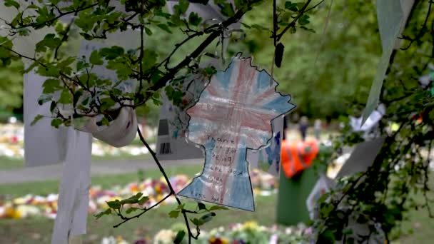 Queen Alakított Rajz Union Jack Lóg Fán Green Park Halála — Stock videók