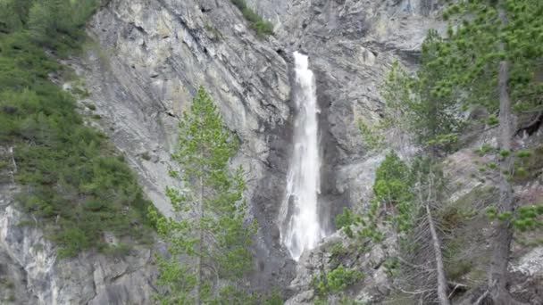 Images Aériennes Drone Volant Lentement Travers Couvert Forestier Vers Une — Video