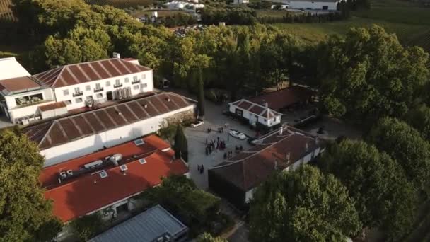 Vista Aérea Quinta Pacheca Lujoso Wine House Hotel Lamego Corazón — Vídeo de stock