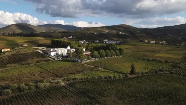 Vista Aerea Quinta Pacheca Lussuoso Wine House Hotel Lamego Nel — Video Stock