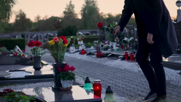 Jeune Homme Apportant Une Fleur Cimetière Décor Coucher Soleil Images — Video