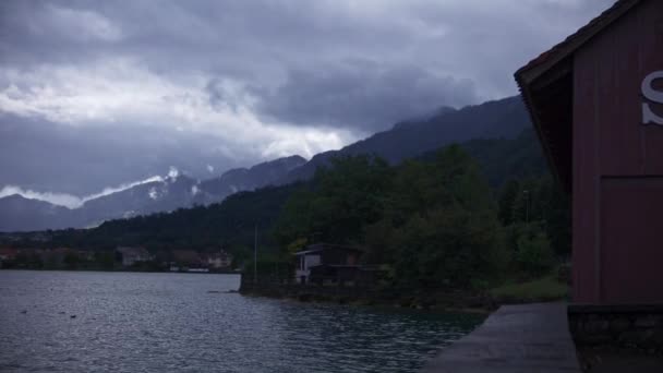 Arth Svizzera Lago Mattina Presto Montagna Darsena Villaggio Anatra — Video Stock