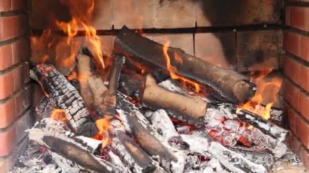 Långsam Rörelse Naturligt Trä Träkol Grill — Stockvideo