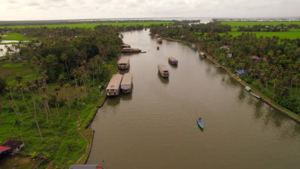 Luchtfoto Van Verschillende Woonboten Zeilen Tropische Backwaters Van Kerala — Stockvideo