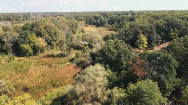 Bäume Die Einen Örtlichen Friedhof Aus Der Luft Bedecken — Stockvideo