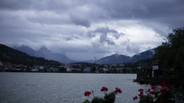 Αρθ Ελβετία Λίμνη Νωρίς Πρωί Βουνό Πουλιά Χωριό Λουλούδια — Αρχείο Βίντεο