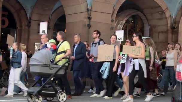 Protestocular Stockholm Deki Çevre Mitinginde Köprü Altında Yürüdüler — Stok video