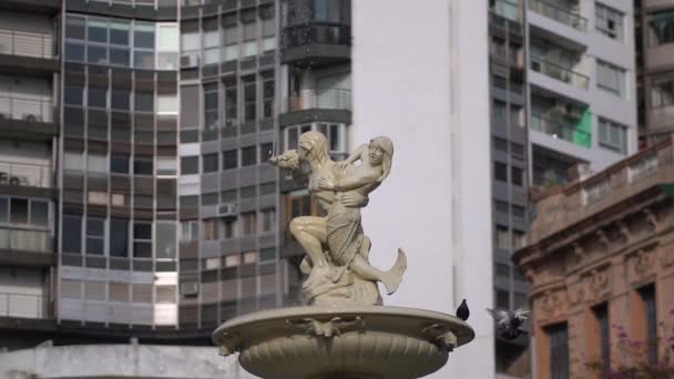 천천히 이면서 건물들을 배경으로 아르헨티나 로사리오에 유토피아 푸엔테데 의넓은 풍경을 — 비디오