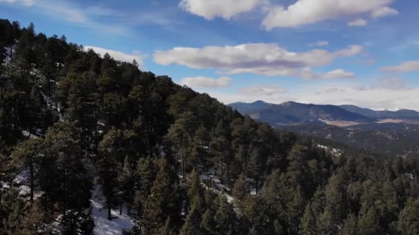 Forest Trees Mountainside Idyllic Rocky Mountains Cinematic Drone Shot Horizontal — Stock video