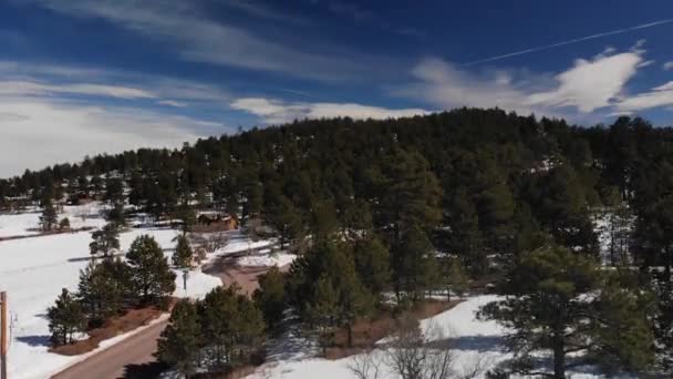 Mountain Reveal Drone Shot Com Pinhal Roll Video Drone Aéreo — Vídeo de Stock