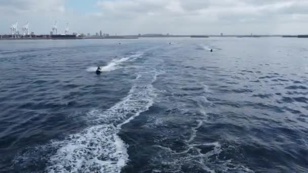Long Beach Speedboat Racing Long Beach Harbor Catalina Island — Stock Video