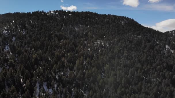 コロラド州の山の中腹の森のエンドレスツリー空中ドローンビデオ水平ショットHd — ストック動画