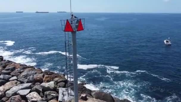 Long Beach Sürat Teknesi Yarışları Lbc Marinasından Catalina Adası Kaliforniya — Stok video