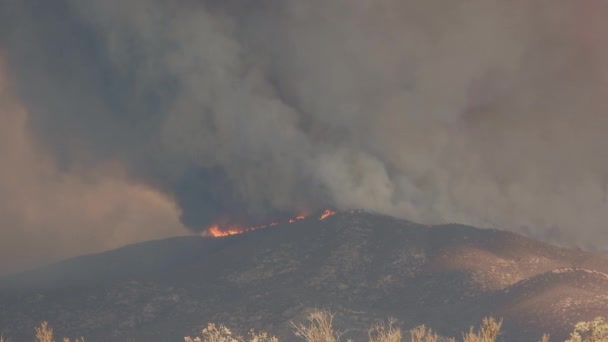 Wildfire Rasar Och Röker Högländerna Västra Usa Statisk Utsikt — Stockvideo