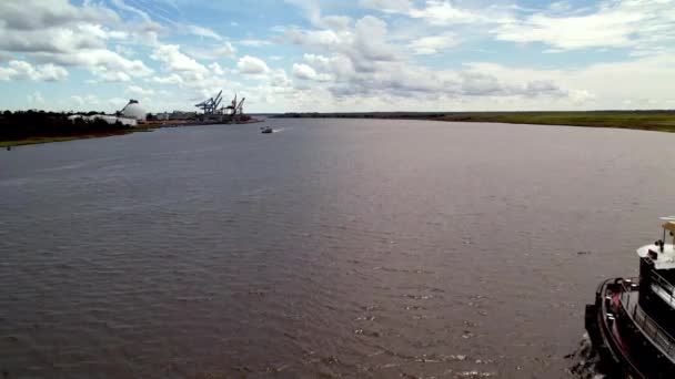 Катер Пливе Вздовж Мису Боїться Річки Біля Вілмінгтон Північна Кароліна — стокове відео