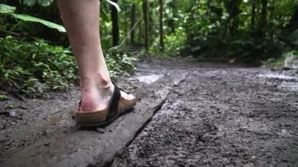 Κυρία Περπατά Κατά Μήκος Μιας Σάπιας Ξύλινης Σανίδας Για Αποφύγει — Αρχείο Βίντεο