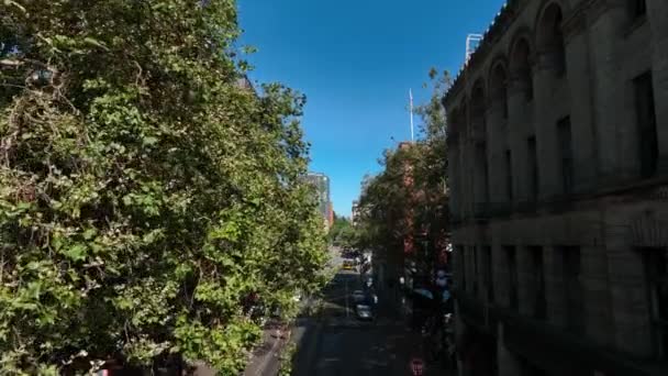 Drone Menenun Melalui Pohon Pohon Blok Seattle Yang Penuh Sesak — Stok Video