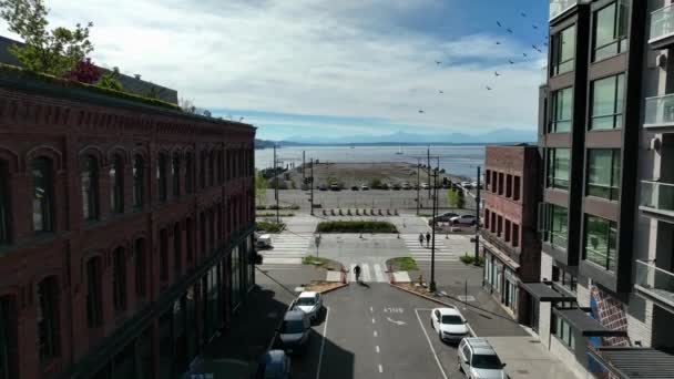 Drone Shot Flying One Seattle Waterfront Streets Birds Flocking Area — Stock Video