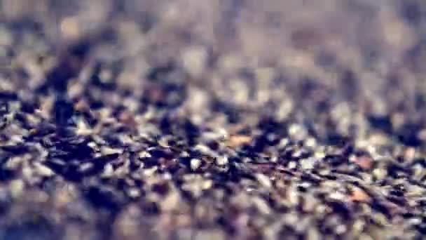 Makroaufnahme Von Kaffeebohnen Auf Einem Gravitationsabscheider Der Verunreinigungen Der Fabrik — Stockvideo